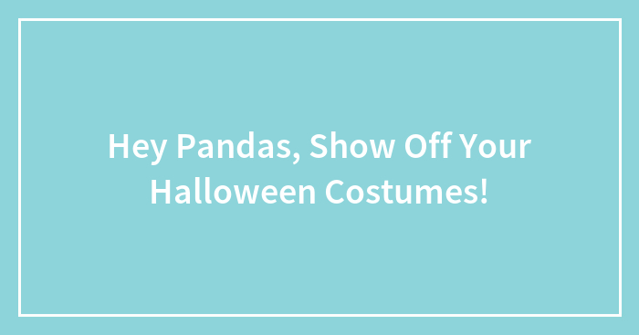 Hey Pandas, Show Off Your Halloween Costumes!