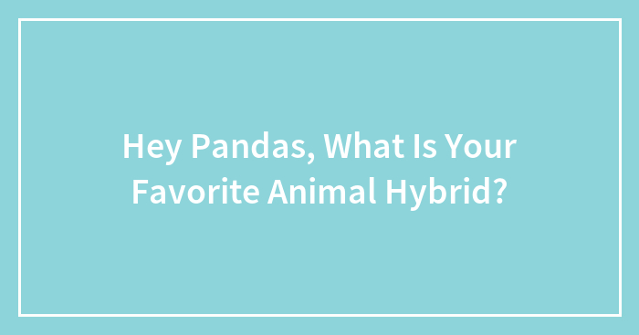 Hey Pandas, What Is Your Favorite Animal Hybrid?