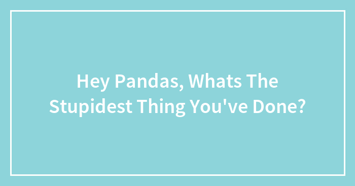 Hey Pandas, Whats The Stupidest Thing You’ve Done?