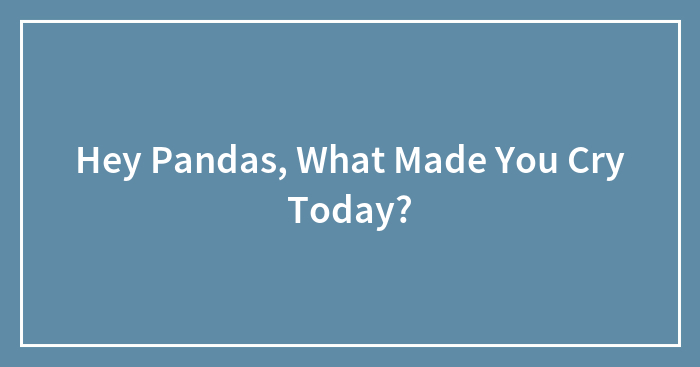 Hey Pandas, What Made You Cry Today?