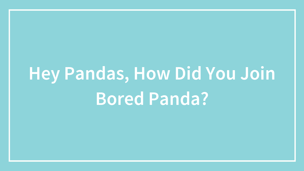 Hey Pandas, How Did You Join Bored Panda? (Closed)