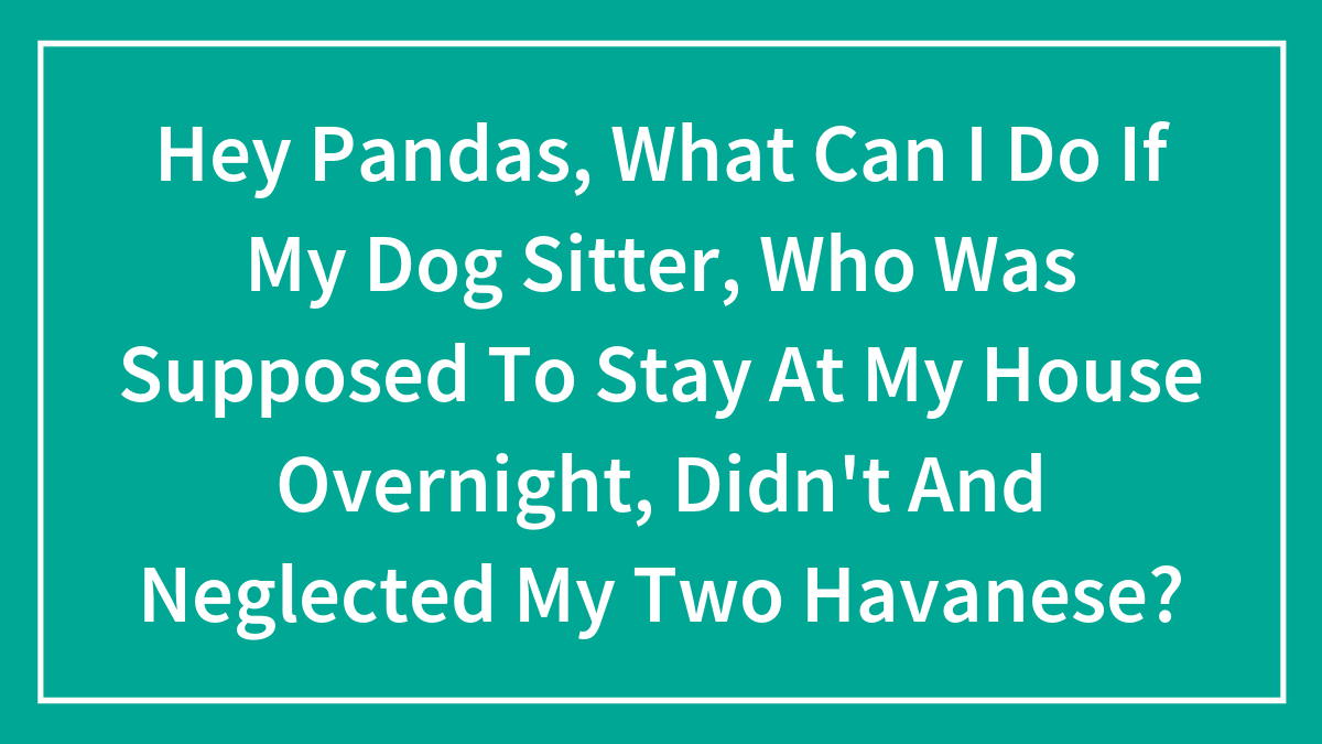 Hey Pandas, What Can I Do If My Dog Sitter, Who Was Supposed To Stay At My House Overnight, Didn’t And Neglected My Two Havanese? (Closed)