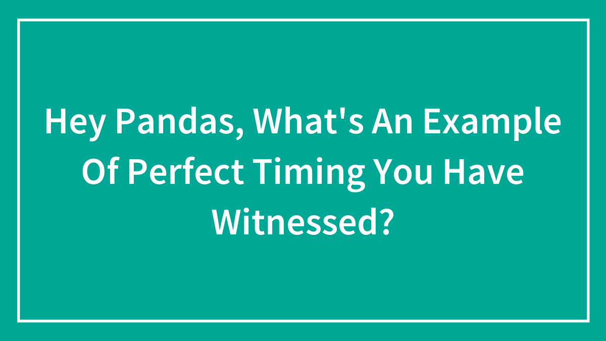 Hey Pandas, What’s An Example Of Perfect Timing You Have Witnessed? (Closed)