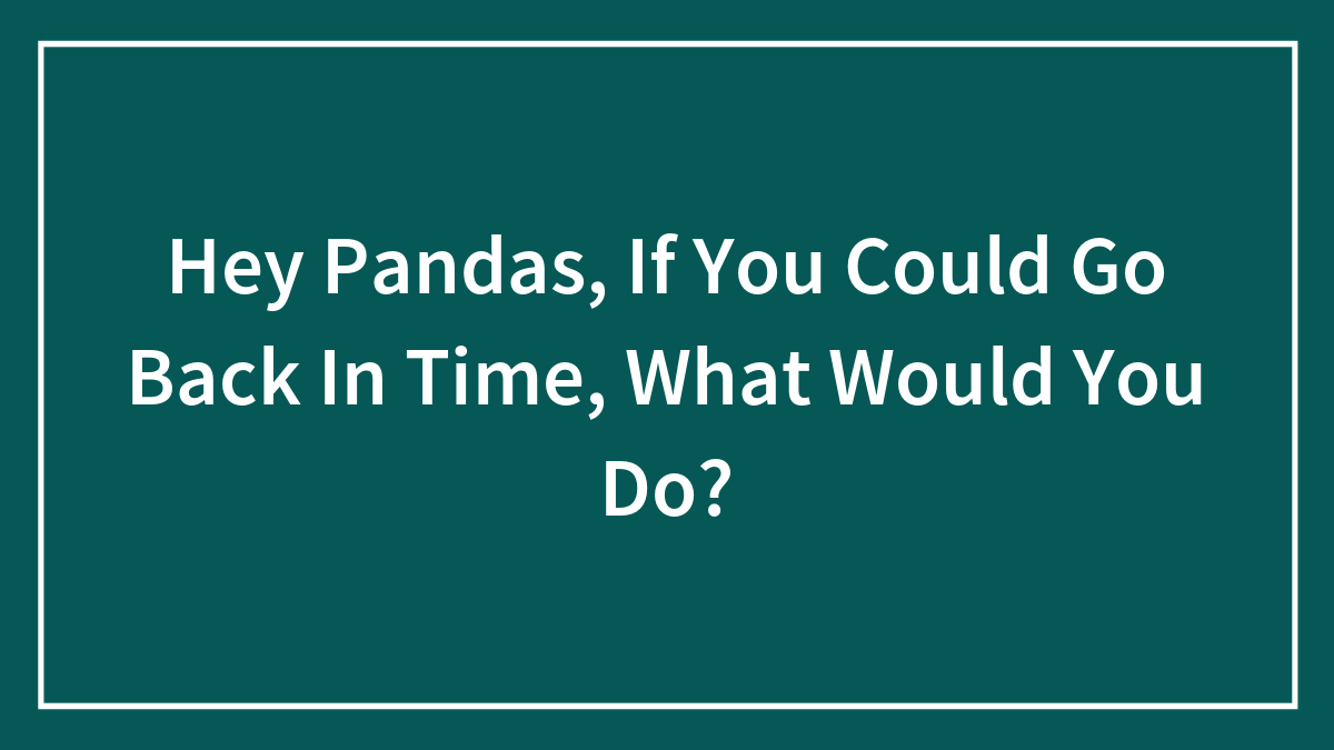 Hey Pandas, If You Could Go Back In Time, What Would You Do? (Closed)