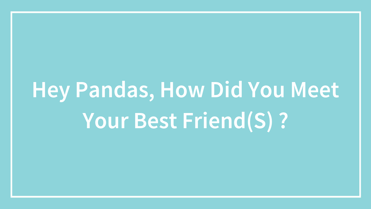 Hey Pandas, How Did You Meet Your Best Friend(S) ?