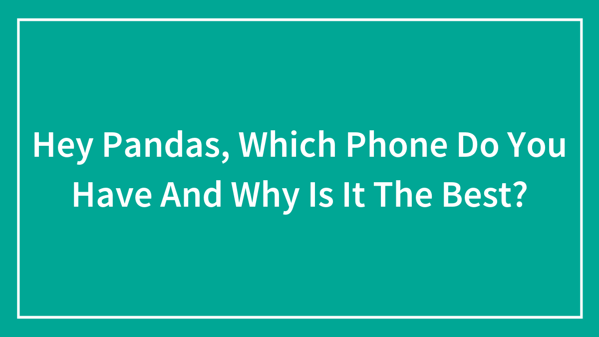 Hey Pandas, Which Phone Do You Have And Why Is It The Best?
