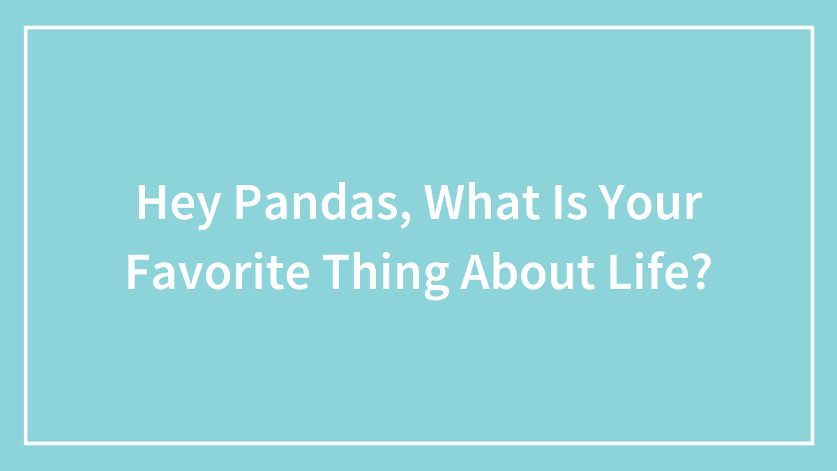 Hey Pandas, What Is Your Favorite Thing About Life?