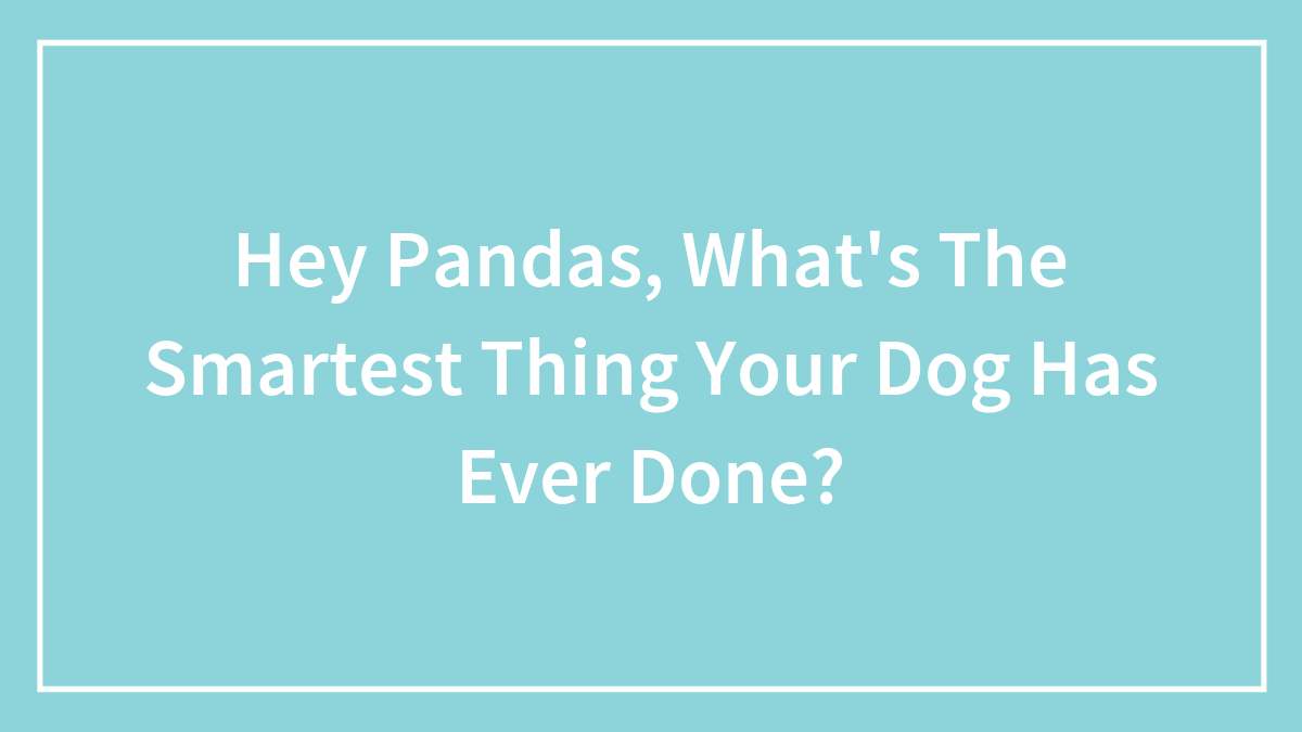 Hey Pandas, What’s The Smartest Thing Your Dog Has Ever Done?