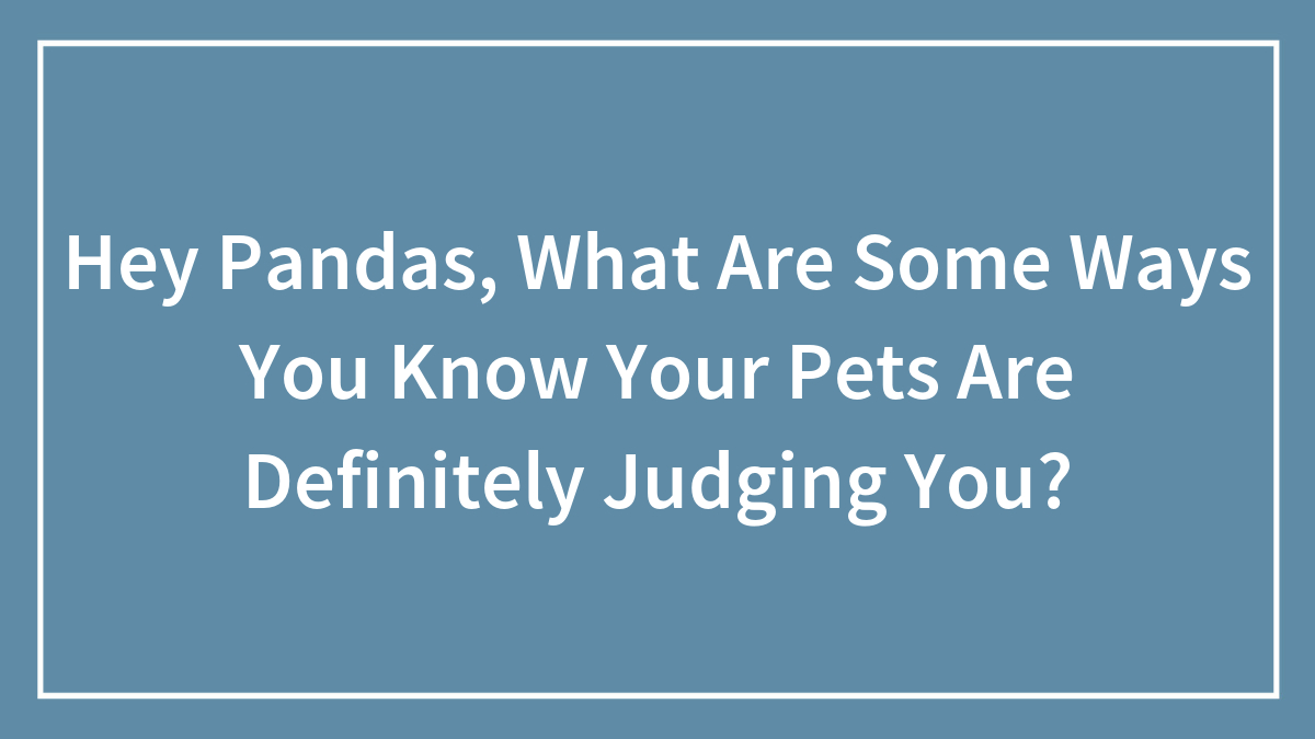 Hey Pandas, What Are Some Ways You Know Your Pets Are Definitely Judging You? (Closed)
