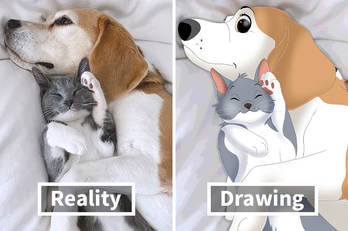 People Send Pictures Of Their Pets To This Artist To Get Them ‘Disneyfied’ (40 Pics)