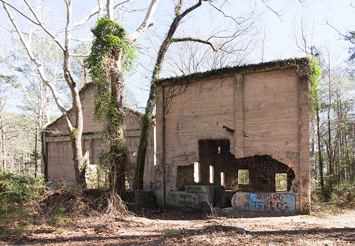 ruined building in the forest