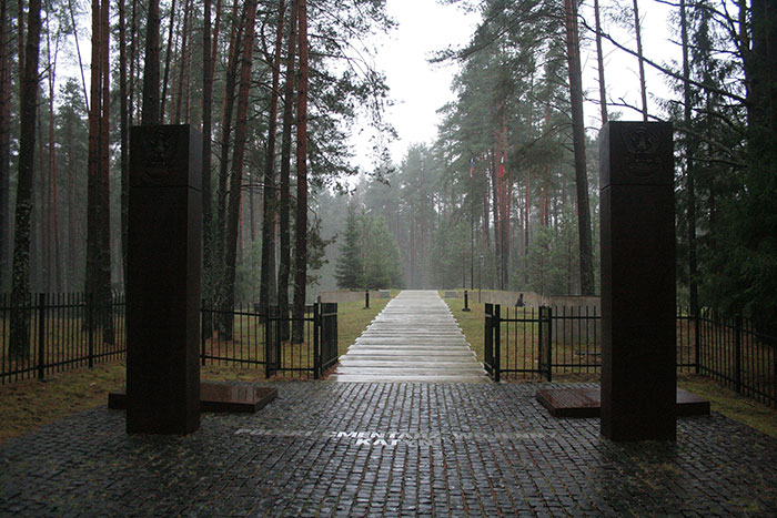 the entrance into the forest with the fence and the path