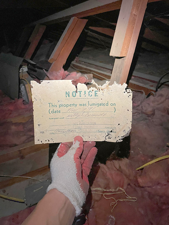 This 30-Year-Old Fumigation Notice I Found In My Attic