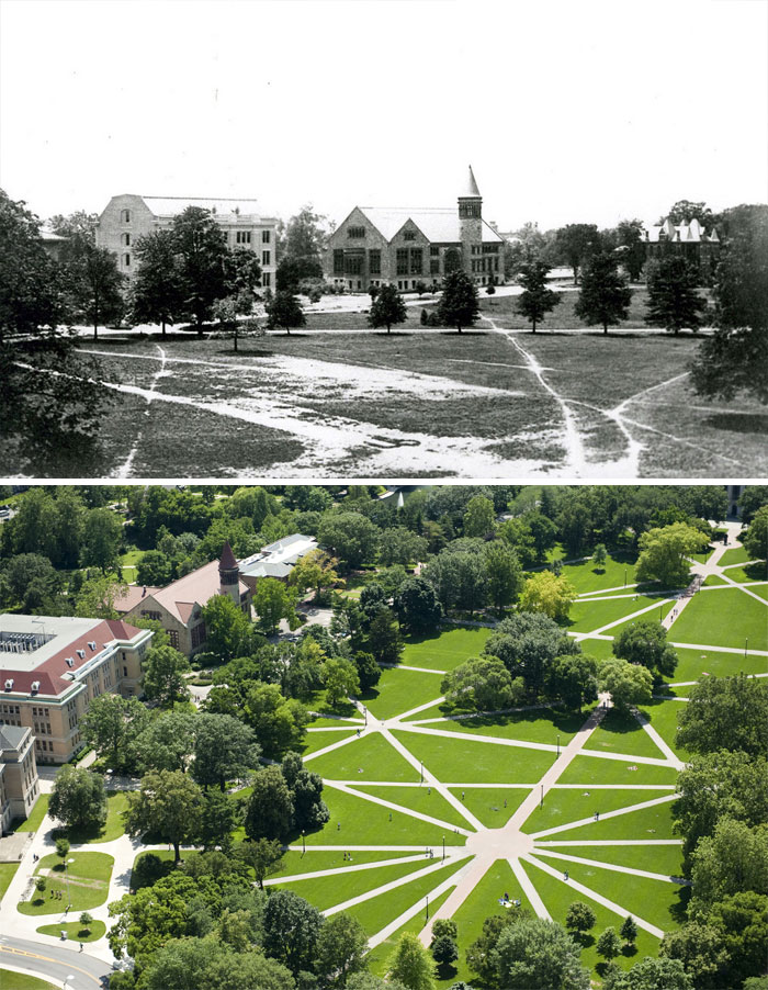 Las pasarelas ovaladas de la Universidad Estatal de Ohio se pavimentaron según los caminos del deseo de los estudiantes