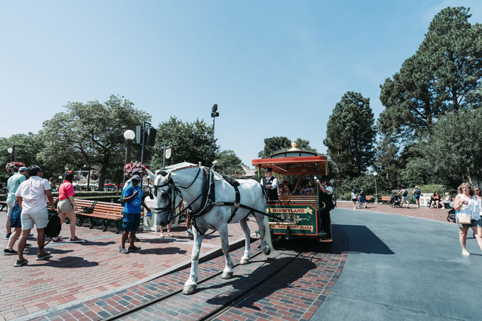 The Horses That Are Found On Disneyland’s Main Street Have Rubber-Soled Shoes