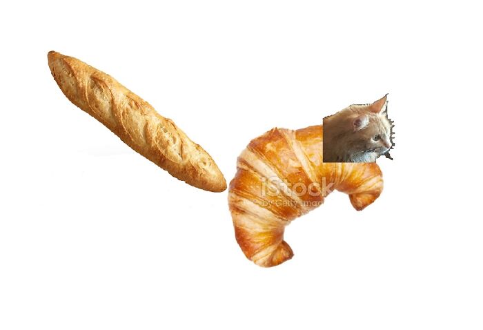 My Cats As Various Breads. Which One Do You Think Is Best?