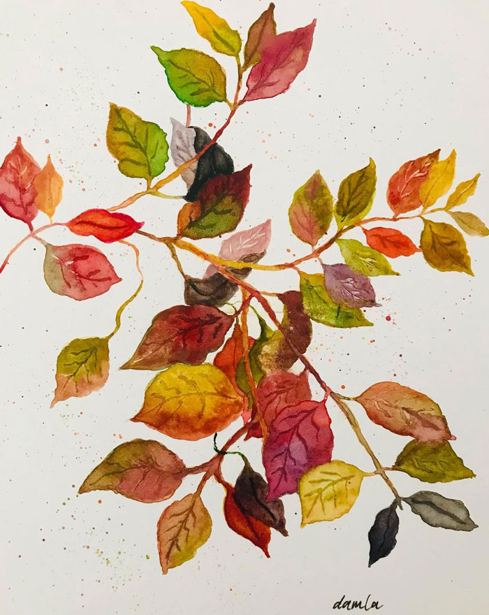 Drawing Of The Colorful Fall Leaves