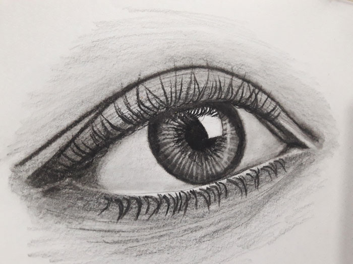 Draw A Close Up Of The Eye