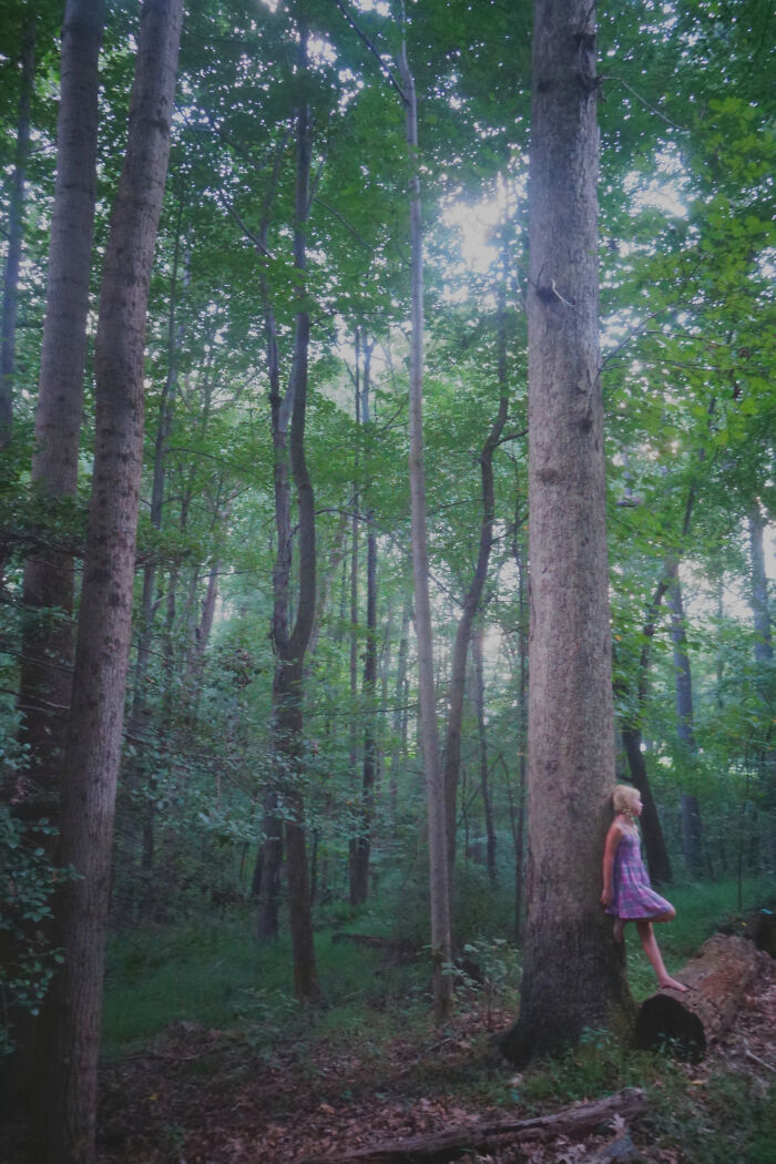 My Little Woodland Fairy