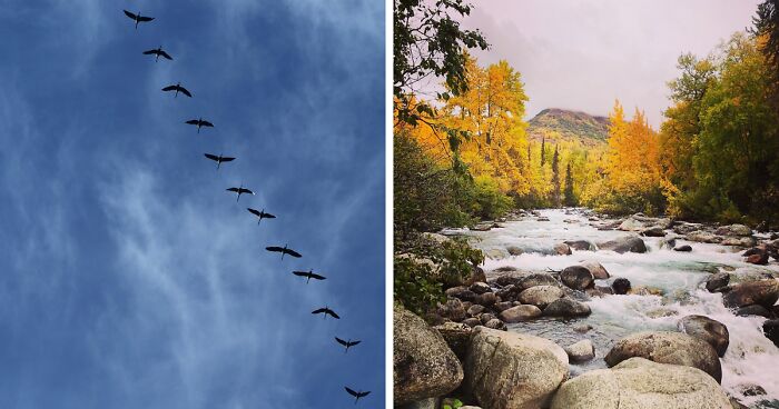 Hey Pandas, Post A Pic That Represents A Perfect Autumn Mood