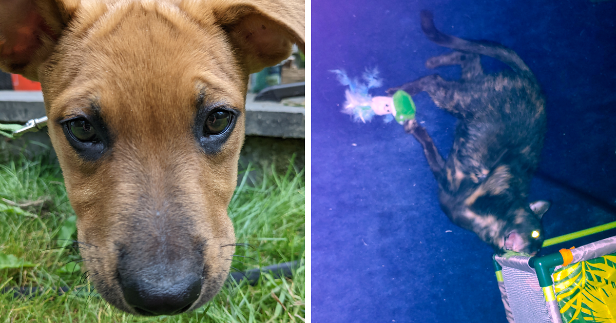 Hey Pandas, Post Your Funniest Photo Fails (Closed) Bored Panda