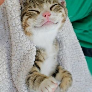 haileybaker243 avatar