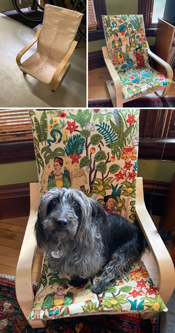 De silla infantil Poang IKEA a trono de perro