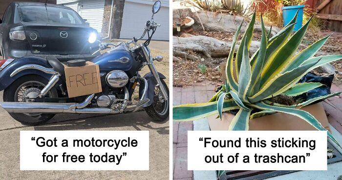 40 Of The Luckiest “Curb Finds” That People Just Stumbled Upon