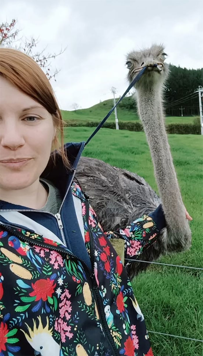 I Am Particularly Proud Of This Excellent Shot. This Wonderful Ostrich Kept Trying To Eat My String On My Hoodie. I Have No Idea Why It Has Zombie Eyes In This Photo. It Was Totally Normal In Person 