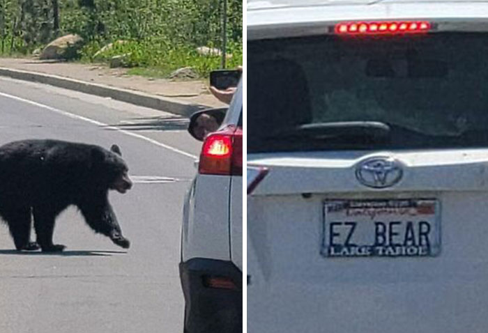 Folks Are Cracking Up At These 30 License Plates As Seen On The Road