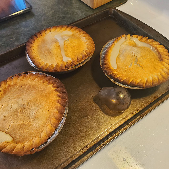 I Cooked Some Pot Pies Only To Have The Light Bulb Explode Glass, All Over The Top