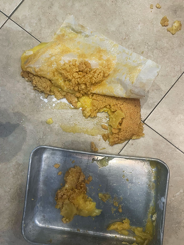 When Life Gives You Lemons, You Make Lemon Bars And Then Drop Them On The Kitchen Floor