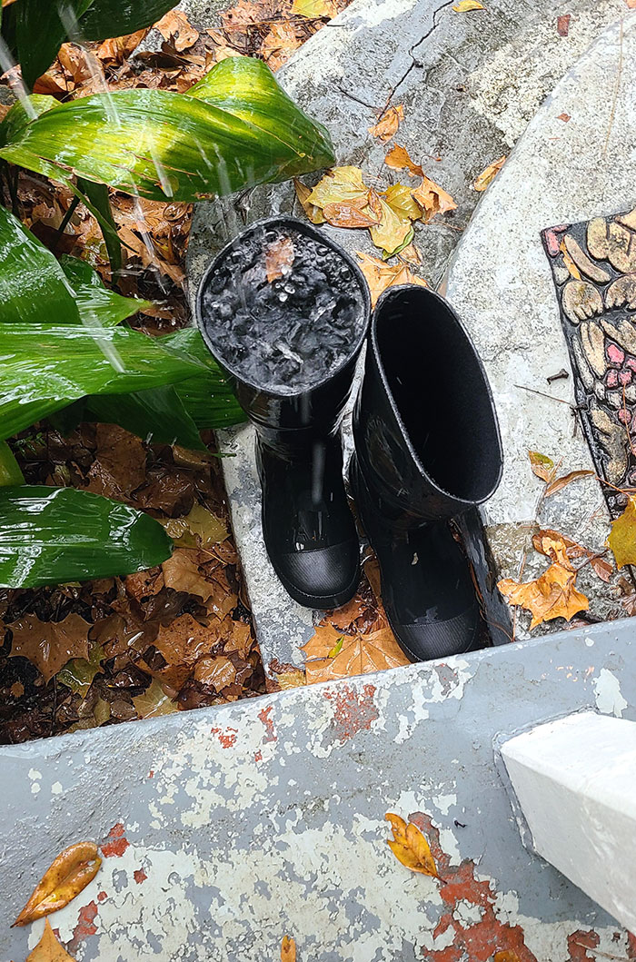 I Got My Rain Boots From The Garage In Anticipation Of Today's Heavy Rain. Apparently, I Forgot To Bring Them Inside Last Night