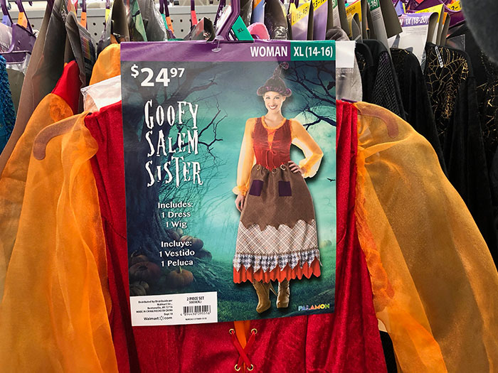 Walmart Is Selling Generic Hocus Pocus Costumes Under "Goofy Salem Sister" 
