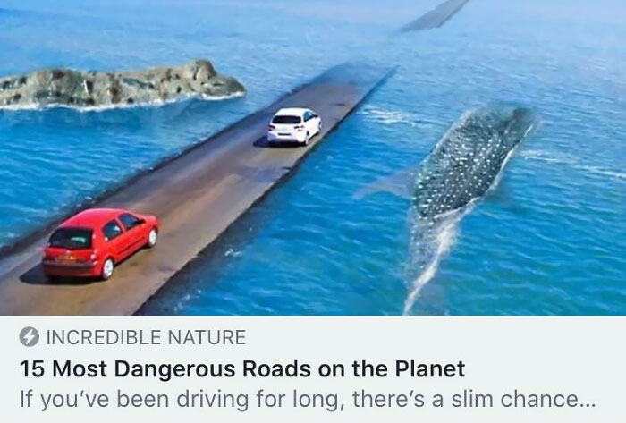 This Road Looks Totally Real