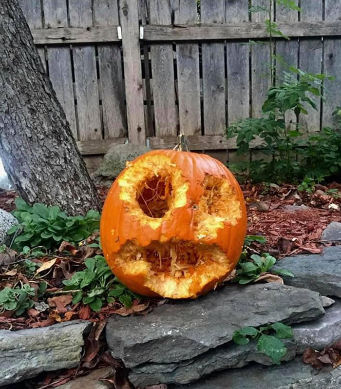 Naturally Carved Pumpkin