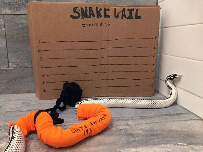 Happy Halloween From Ricky, The Baddest Snake Around