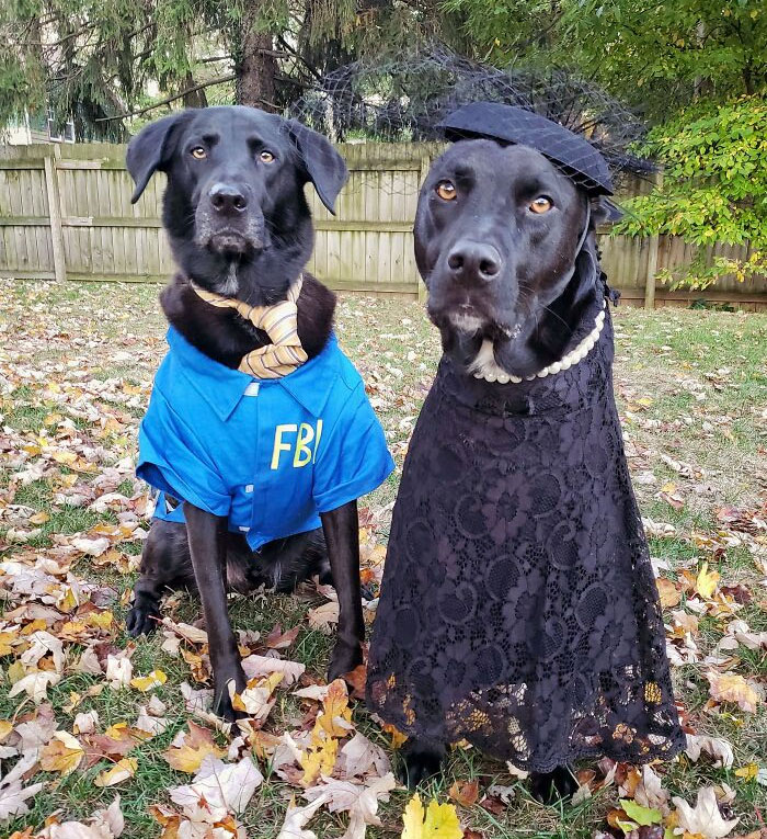 Parks And Rec Fans: My Pups Dressed Up As Burt Macklin And Janet Snakehole