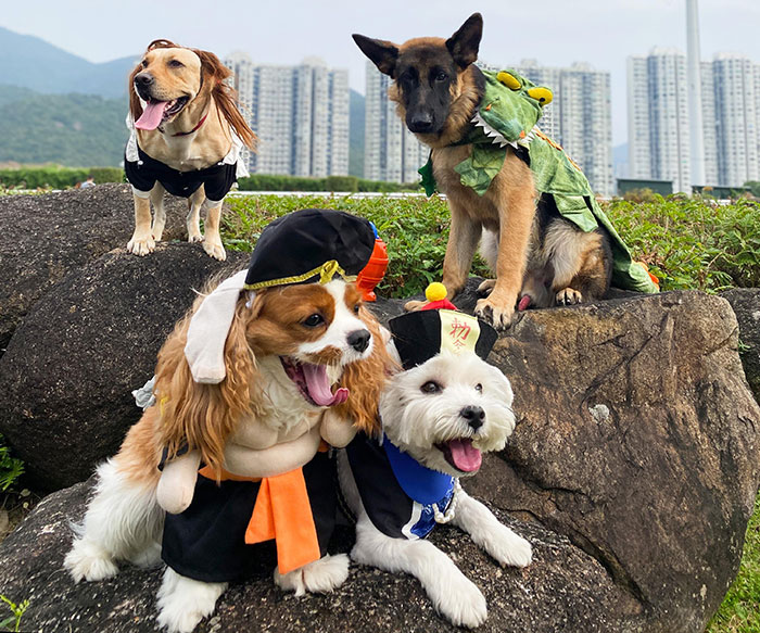Happy Halloween From Hong Kong
