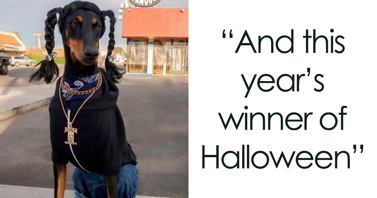 tangled dog costume
