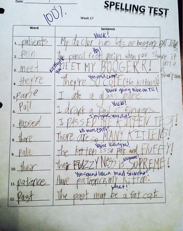 My Kid's Teacher Is Apparently Okay With His Wild Answers On Spelling Tests