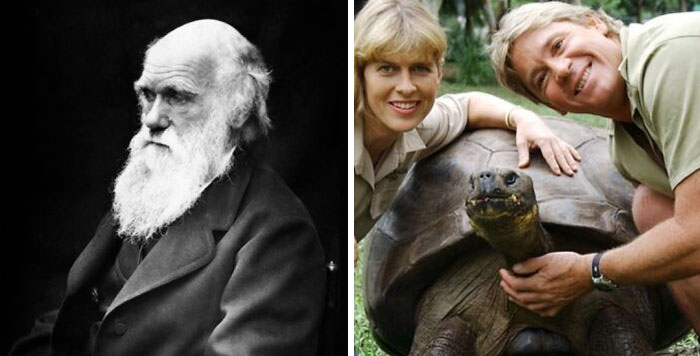 La tortuga Harriet, que falleció en 2006, vio a Charles Darwin en persona