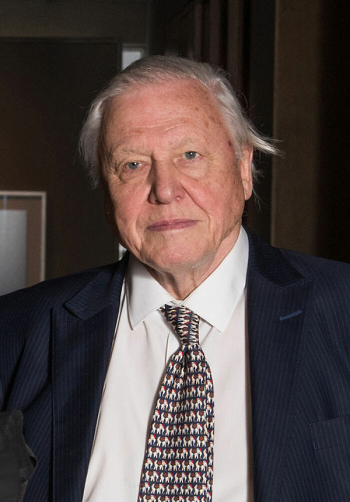 Sir David Attenborough Is 96, Meaning He Is Older Than The The Theory Of Natural Selection Was When He Was Born