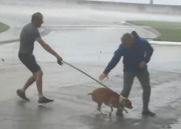 People Online Applaud Ordinary Heroes Who Risked Their Lives To Save Stranded Animals During Hurricane Ian