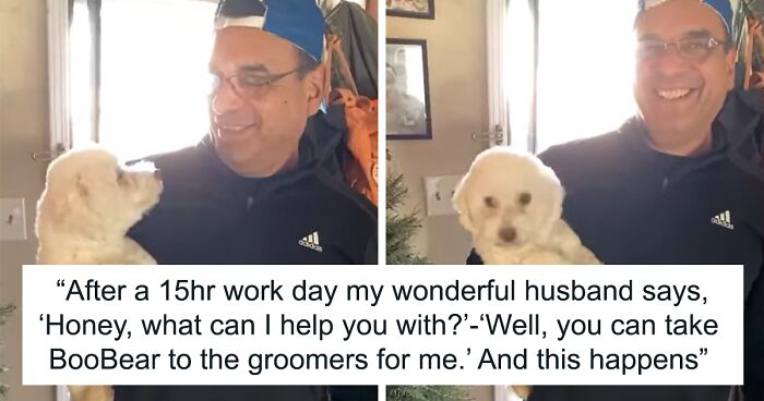 “He Had One Job!”: Husband Goes To Groomers, Comes Home With The Wrong Dog