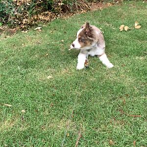 kaycikuniyuki avatar