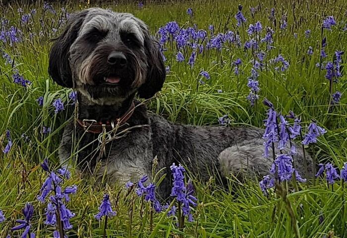 She’s As Sweet As She Looks