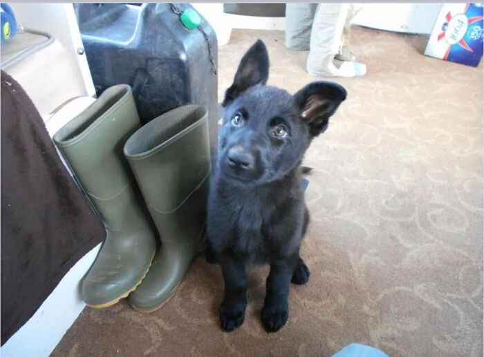 Layla When She Was Tiny!