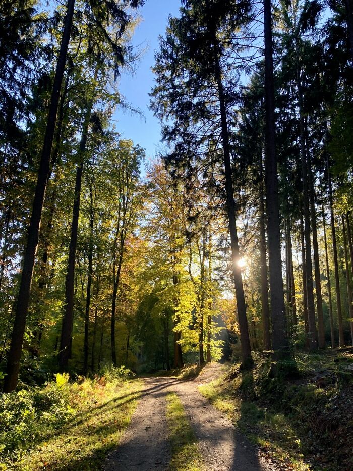 Southern Germany In October