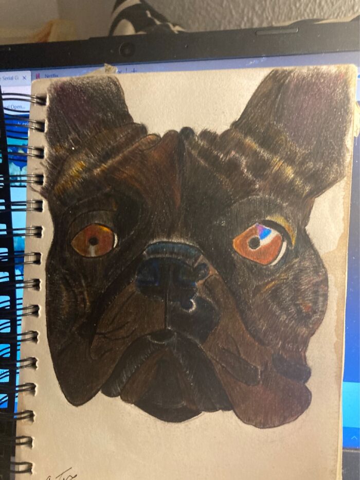 I Also Just Finished Trying To Draw My Rescue Dog 🥰🥰.. Pencil Crayoning Is Hard 🤦🏼‍♀️